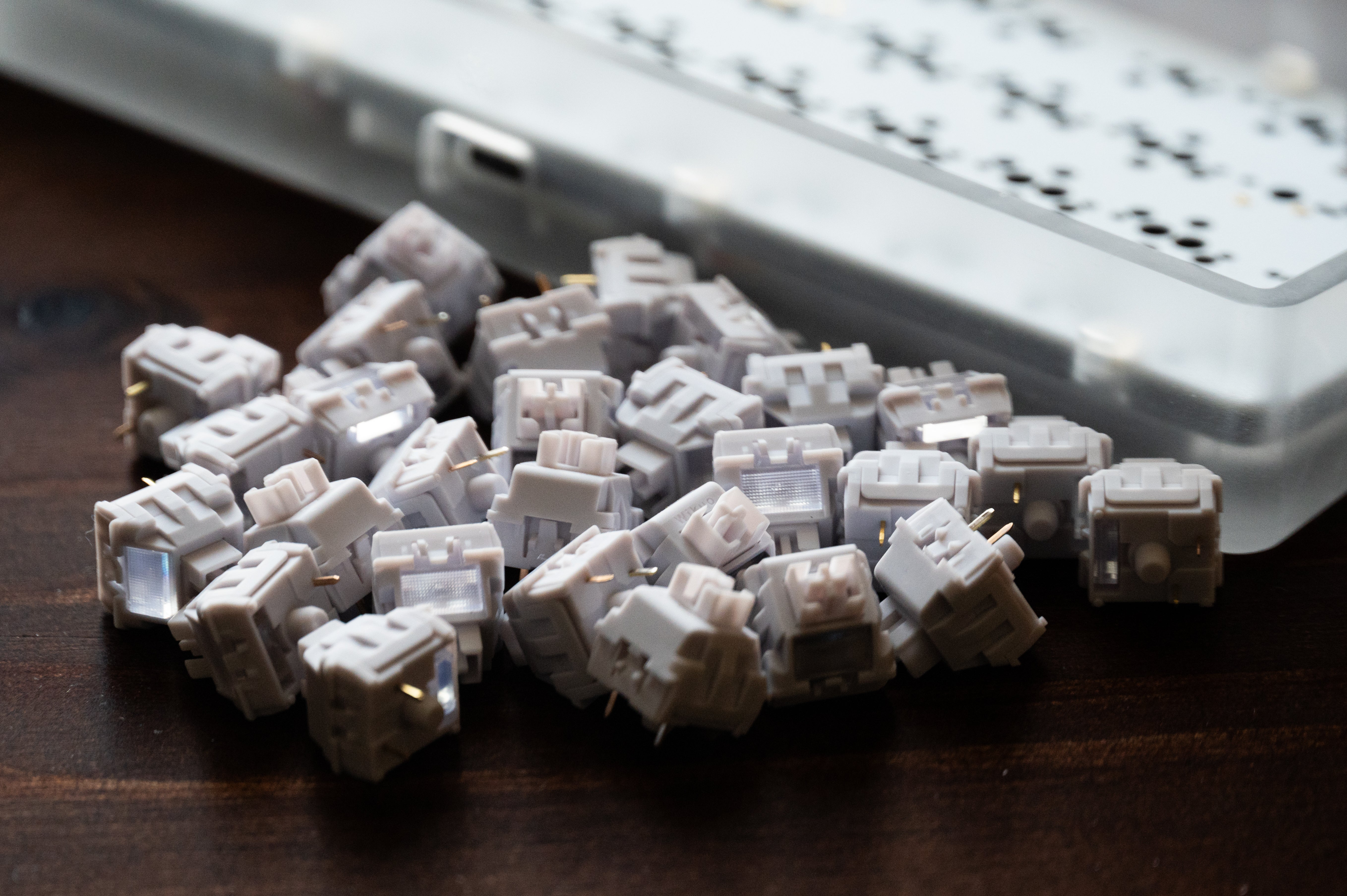 【In stock】Wild Gardenia Switch