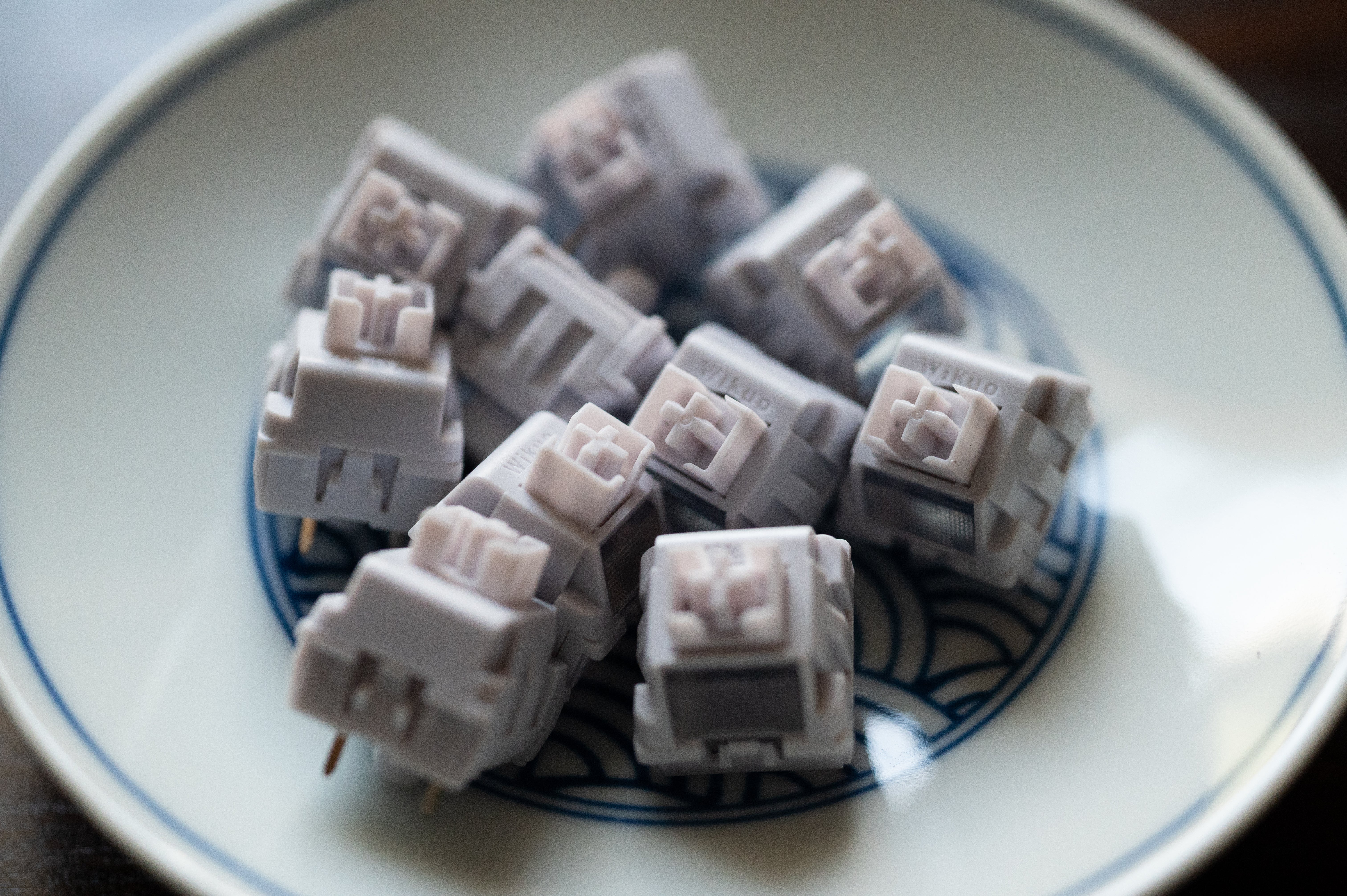 【In stock】Wild Gardenia Switch