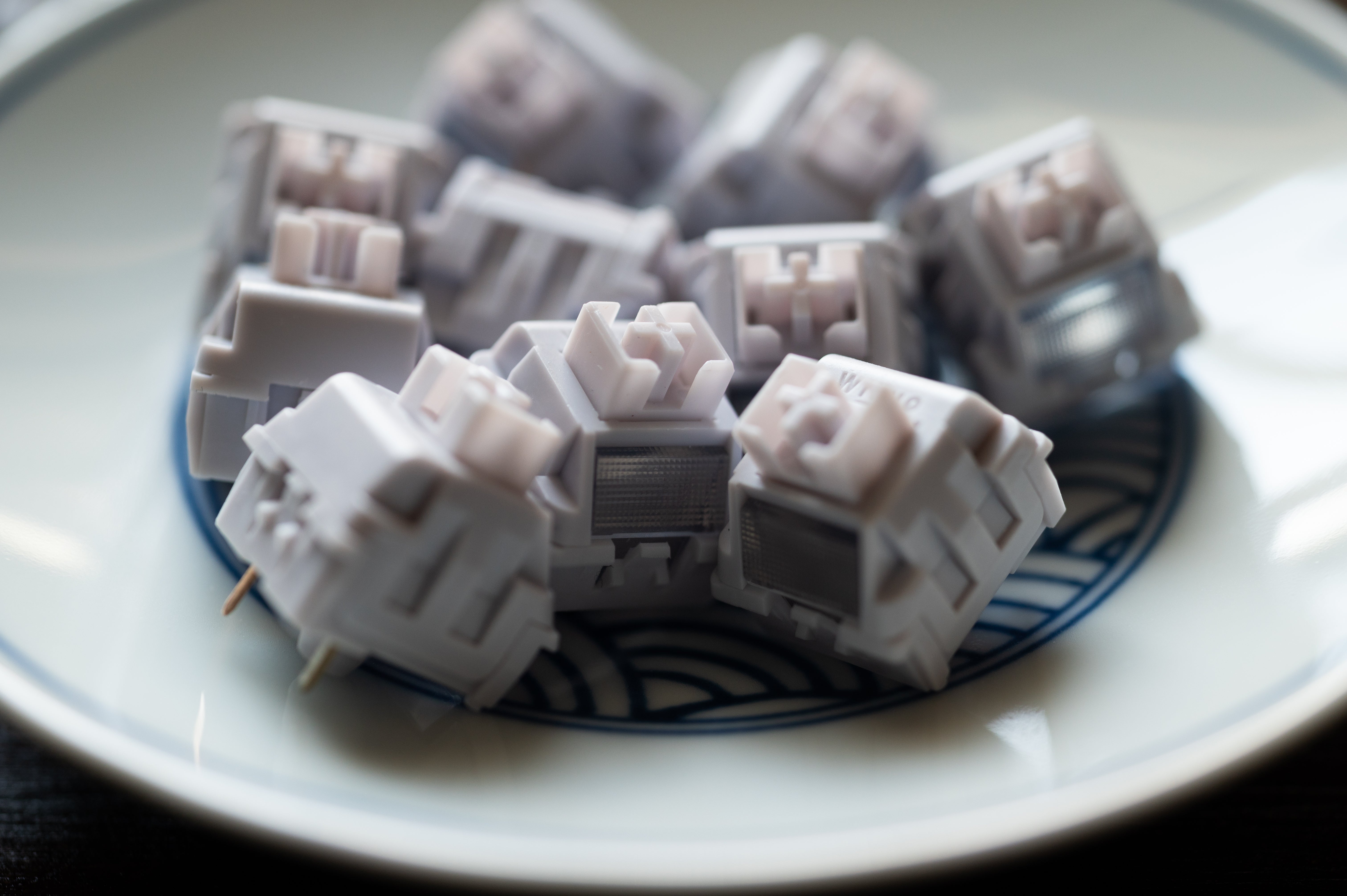 【In stock】Wild Gardenia Switch
