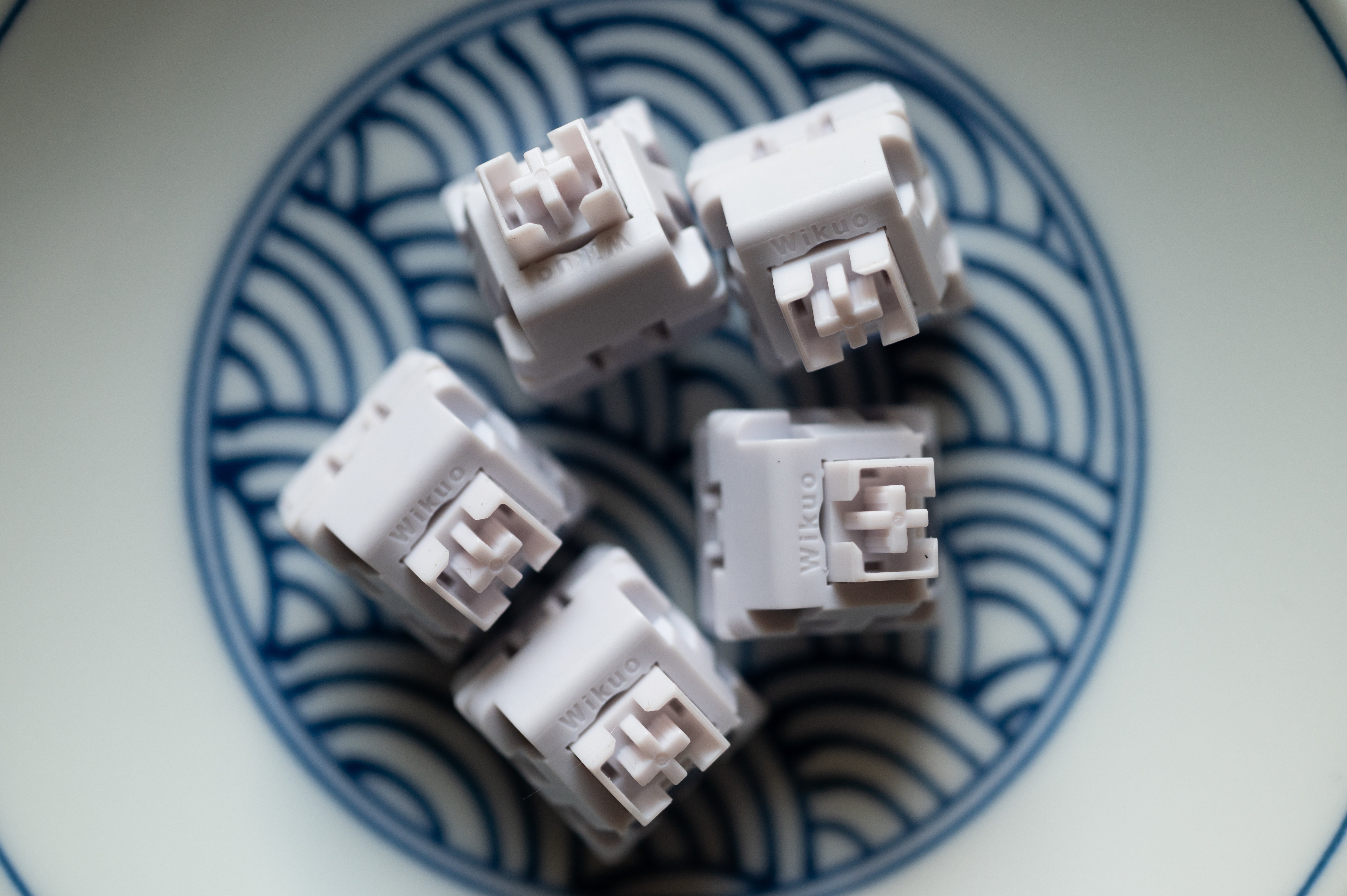 【In stock】Wild Gardenia Switch