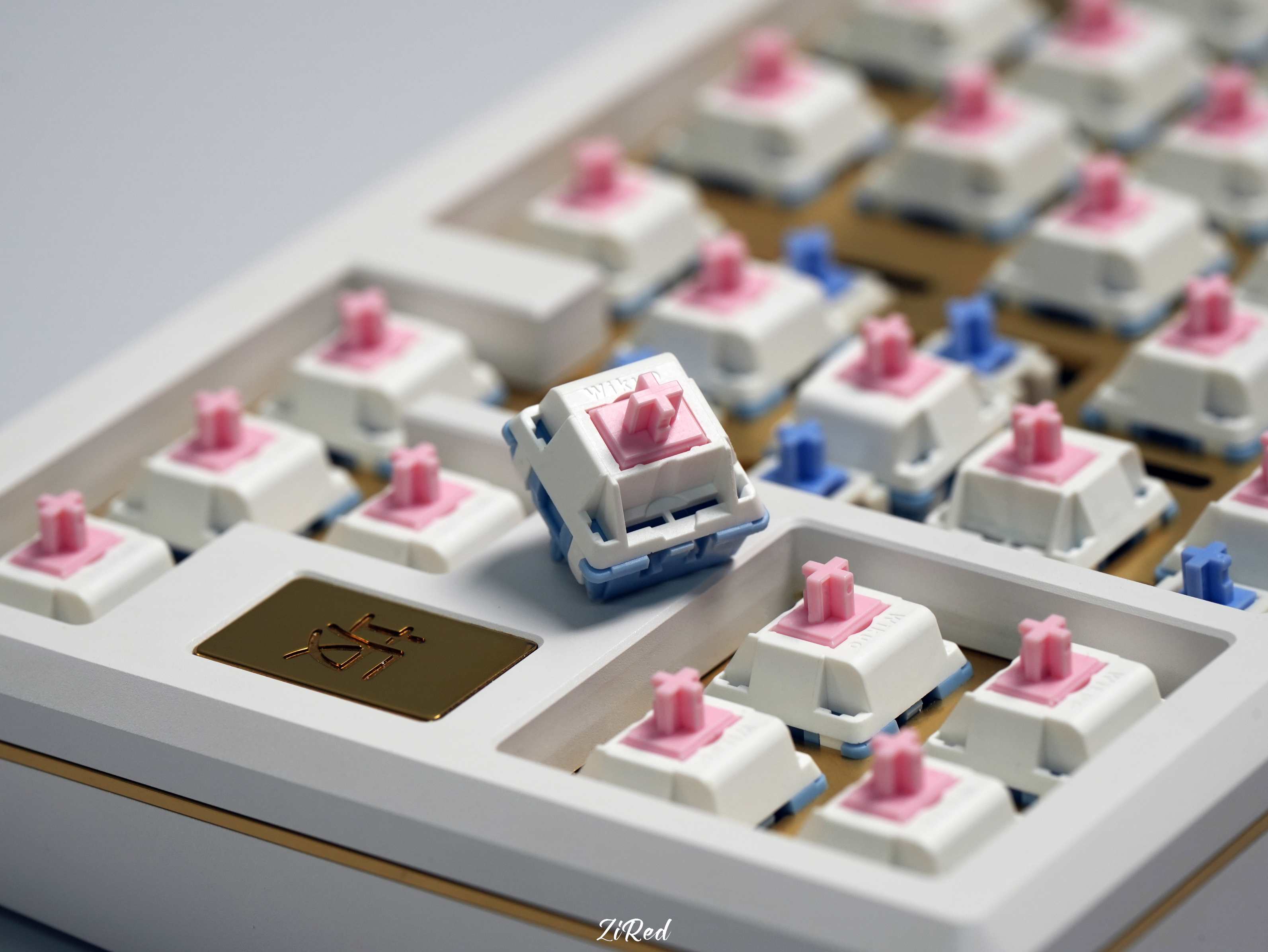 【In stock】Fuyu switch