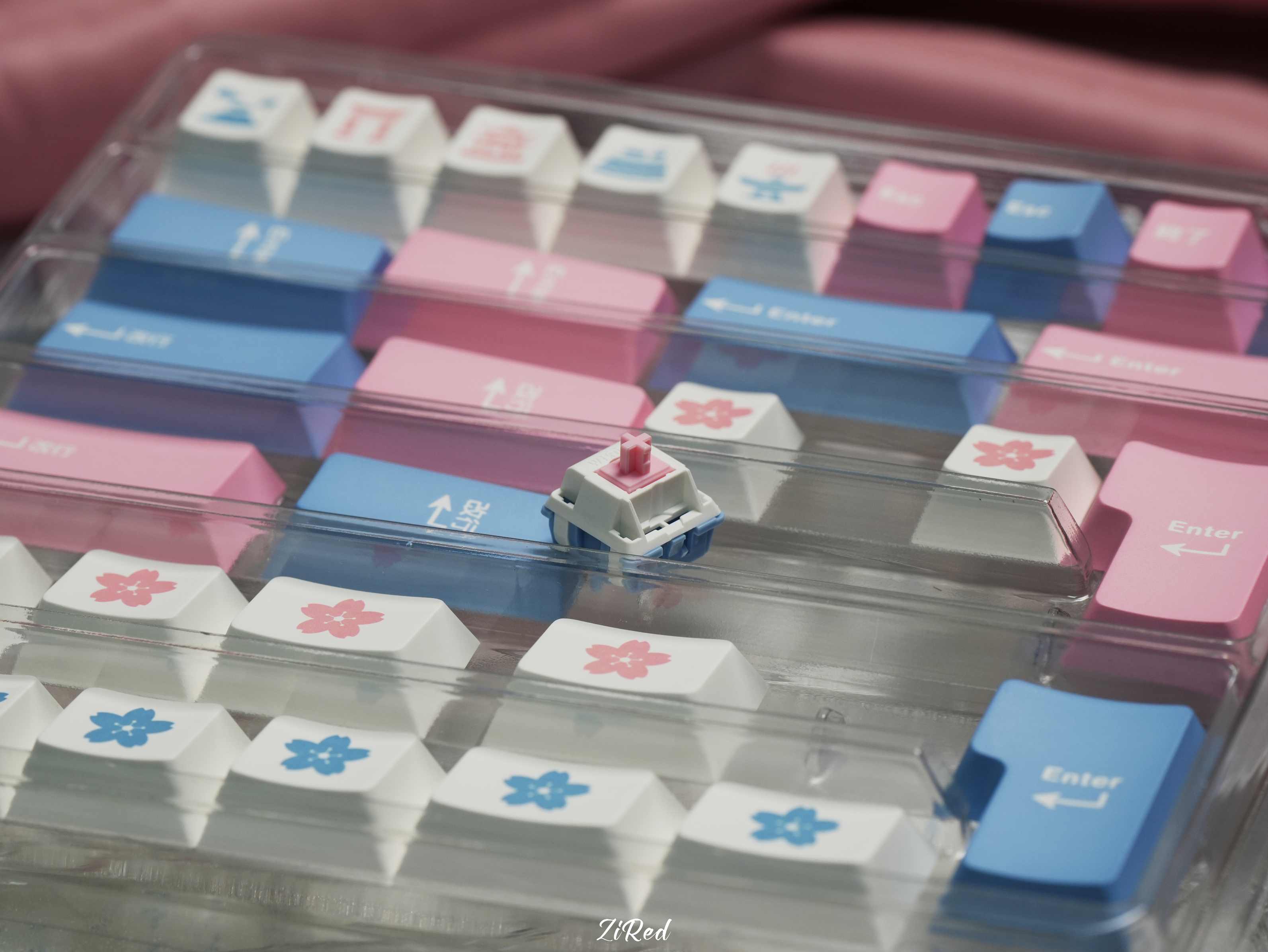 【In stock】Fuyu switch