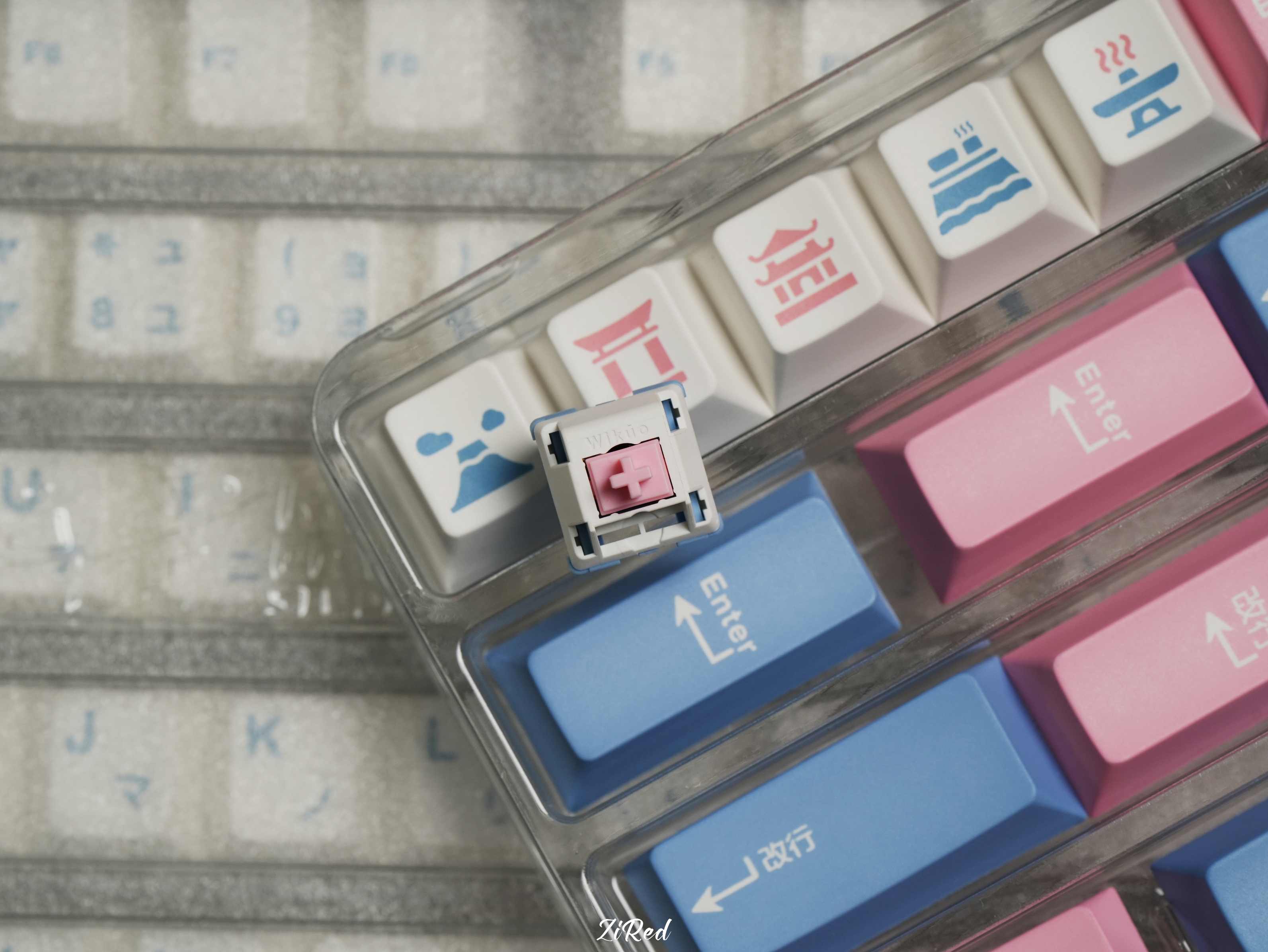 【In stock】Fuyu switch