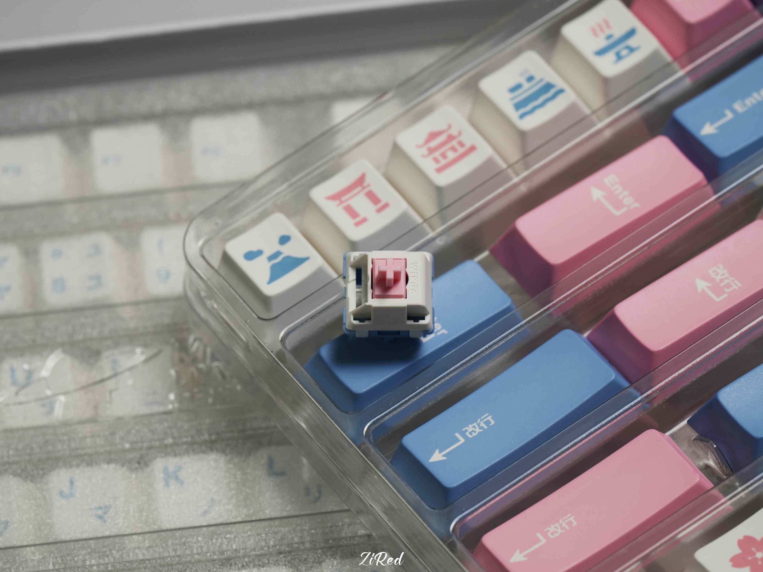 【In stock】Fuyu switch