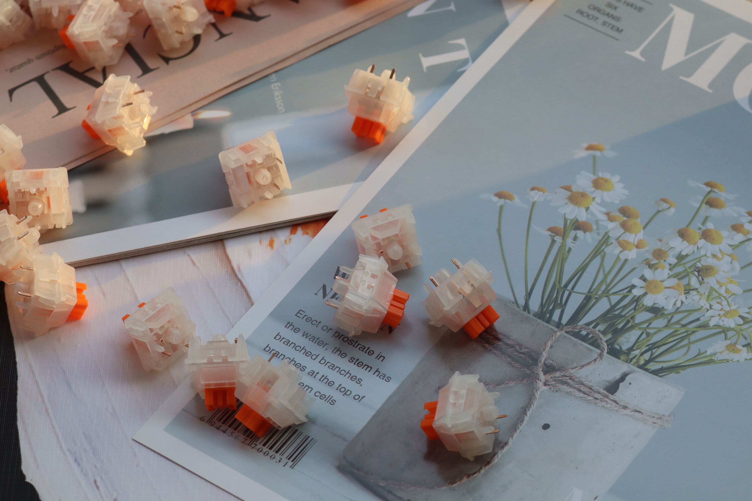 【In stock】Daisy  silent linear switch
