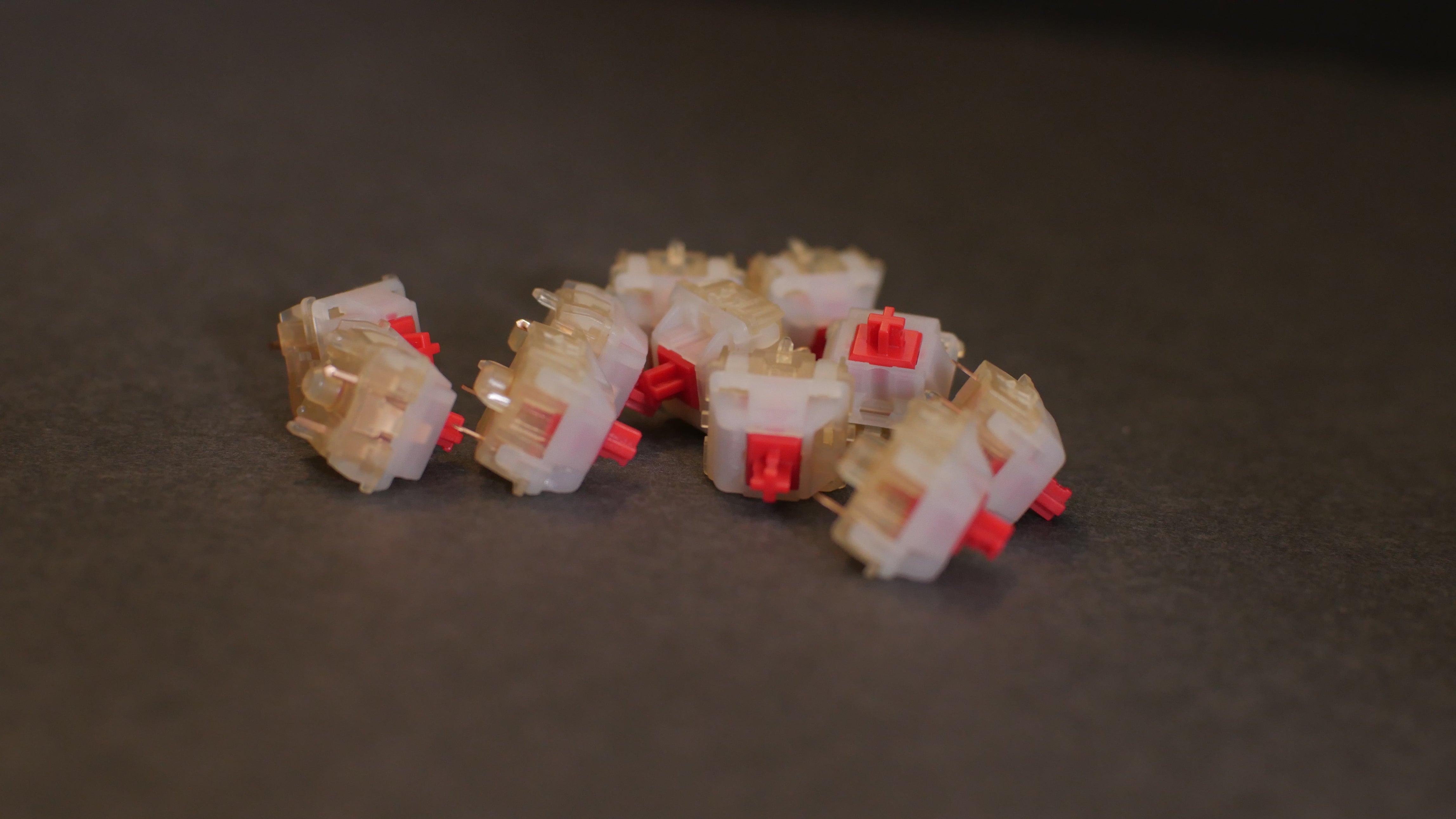 【预购】 Gateron 奶油苏打开关