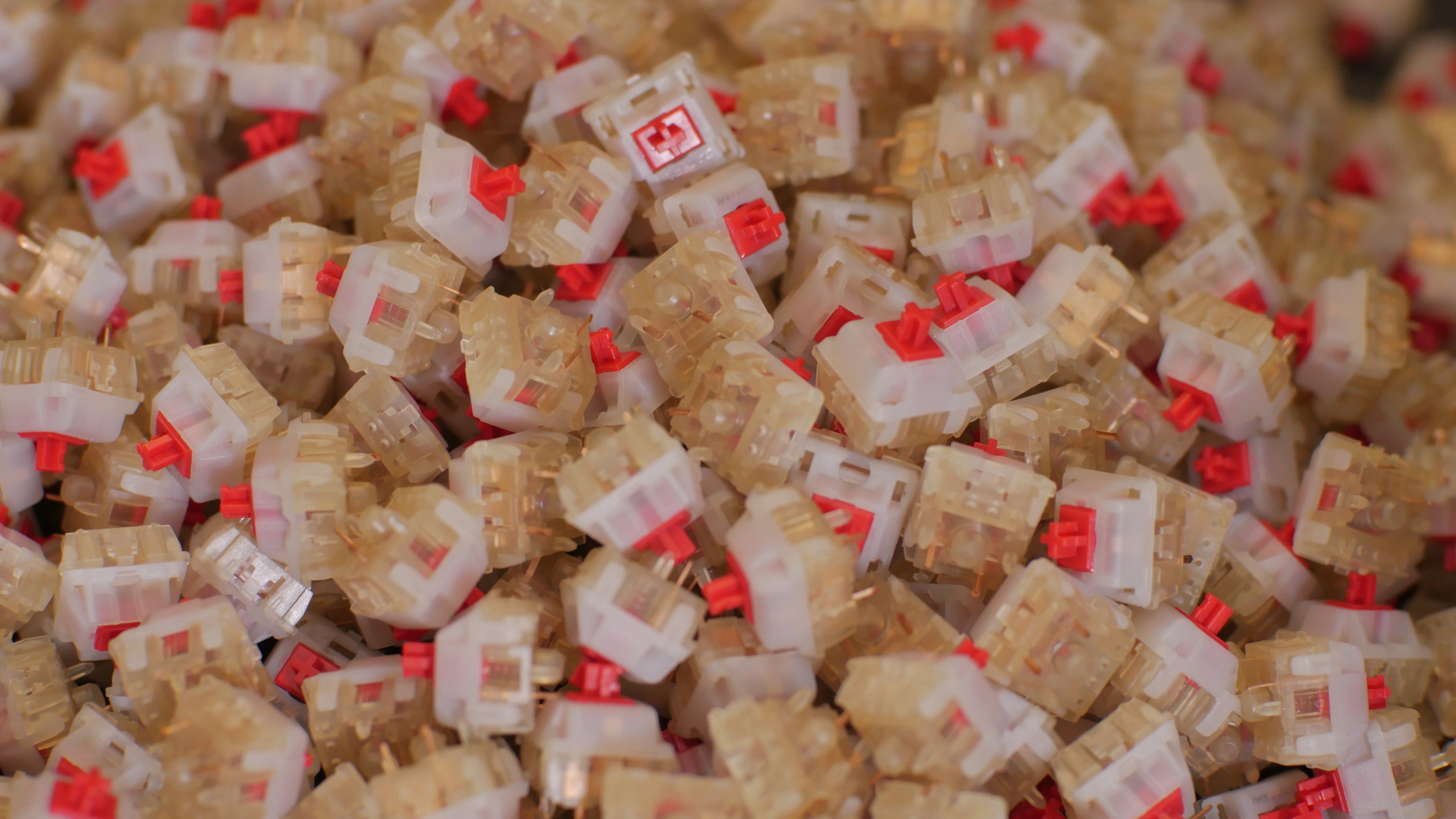 【预购】 Gateron 奶油苏打开关