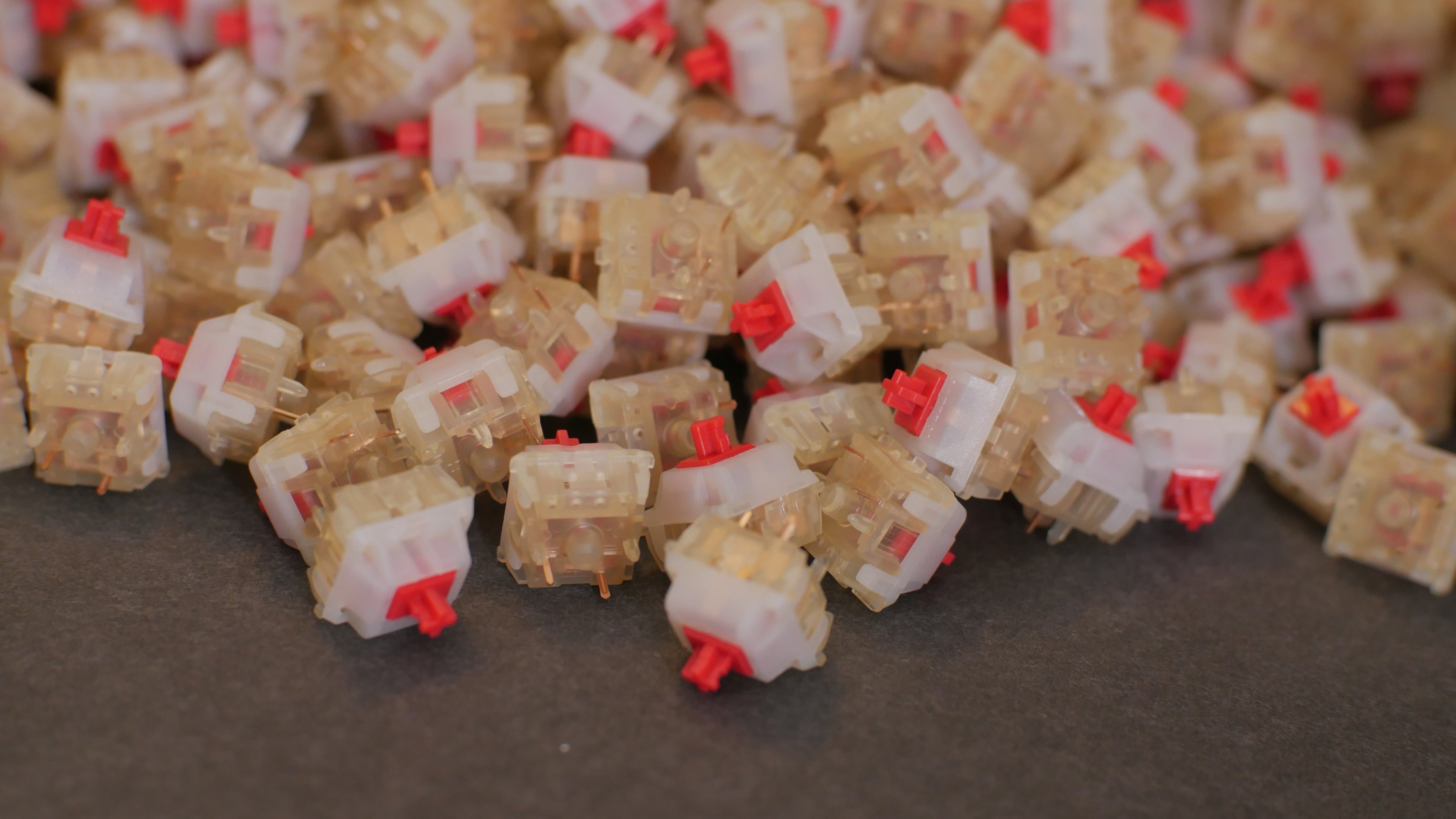 【预购】 Gateron 奶油苏打开关