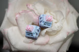 将图片加载到图库查看器，【In stock】Lucy R5 switch