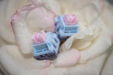 将图片加载到图库查看器，【In stock】Lucy R5 switch
