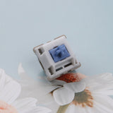 Load image into Gallery viewer, 【In stock】Outemu Feather switch