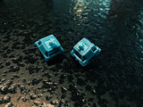 Load image into Gallery viewer, 【In stock】Poseidon switch